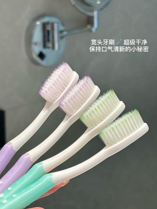 【家居百货】【美国CDERG成人软毛牙刷】牙刷消耗品！一年四季都需要赶紧囤起来！ 商品图12