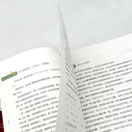 如何学好初中语文 魏亚妮 学校订购电话/微信15080035301 商品图6