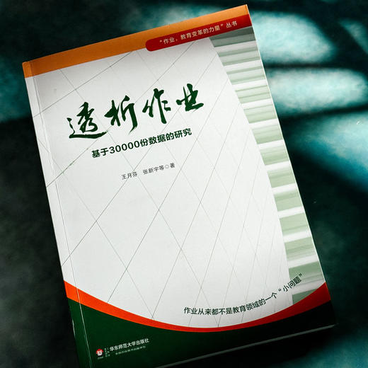 透析作业 基于30000份数据的研究 作业设计  教育变革的力量丛书 商品图4