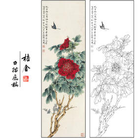 于非闇花鸟工笔画白描底稿牡丹蝴蝶《蝶恋花》临摹勾线高清打印稿FA16