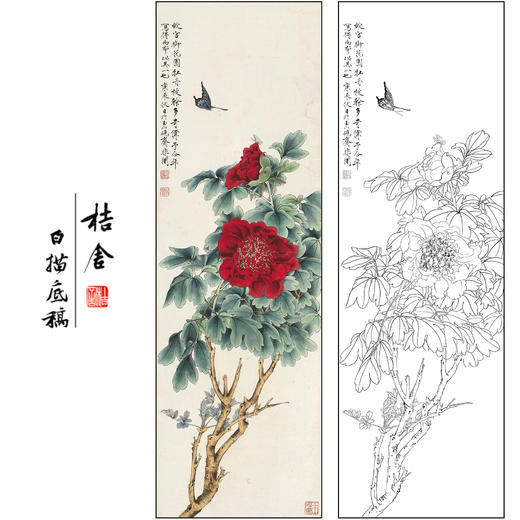 于非闇花鸟工笔画白描底稿牡丹蝴蝶《蝶恋花》临摹勾线高清打印稿FA16 商品图0
