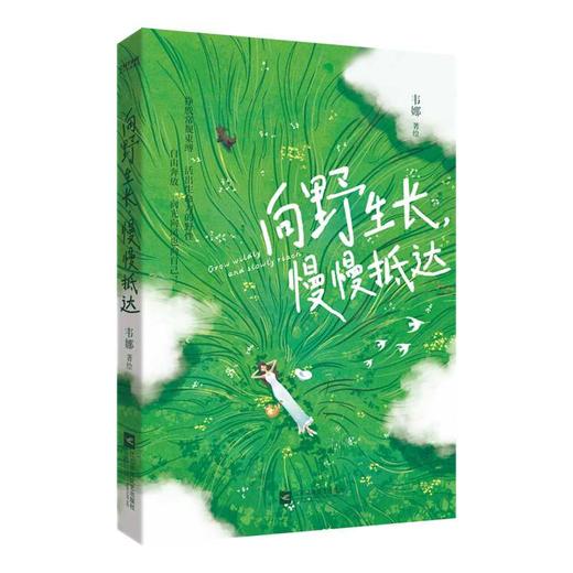 向野生长,慢慢抵达 商品图2