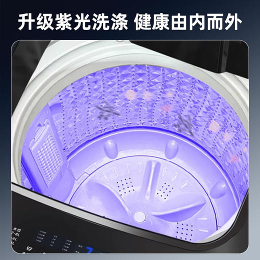 德国派克新品50公斤波轮洗衣机全自动商用大容量宾馆酒店家用 紫光+风干 商品图6
