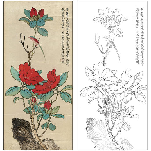 于非闇花鸟工笔画白描底稿《山茶小鸟》临摹勾线高清打印稿FA27 商品图0