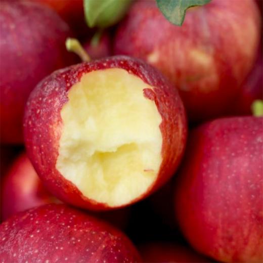  【四川巴克艾苹果礼盒】高原直采，果面全红，酸甜黄金比超惊艳！ 商品图3