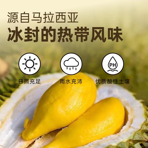 『叻油榴』马来西亚进口D197猫山王榴莲果肉树熟冷冻新鲜水果AA果果肉 商品图4