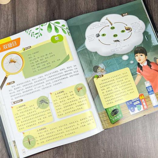儿童昆虫百科全书 商品图3