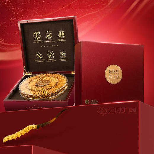 东阳光冬虫夏草 锁鲜虫草（SS2400+）200克装 2-3根/克 【锁鲜虫草 滋补礼盒】 商品图1