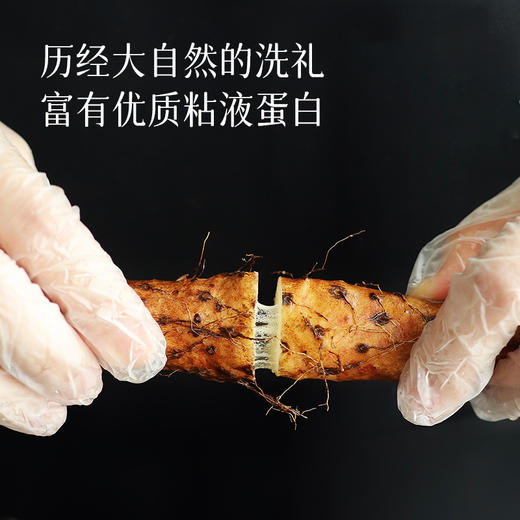 【新鲜铁棍山药上市】正宗铁棍山药只选河南焦作特有垆土地种植，目前山药是霜降前，口感更鲜嫩~ 商品图2