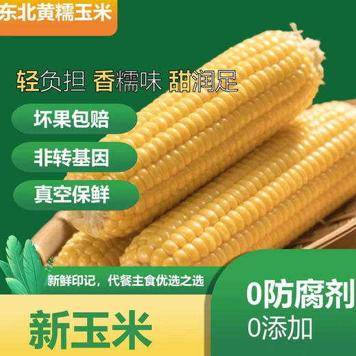 【48小时内发货】基地直发 | 生态黄糯玉米 | 吉林松原 商品图0