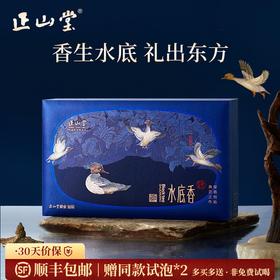 正山堂 宋风雅韵水底香礼盒装 正山小种红茶特级茶叶年货送礼102g