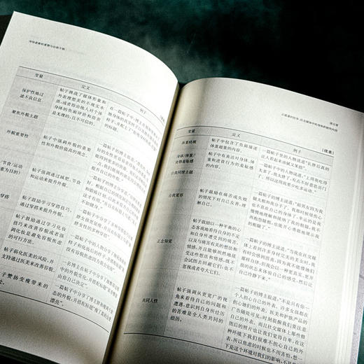 身体意象的重塑与自我干预 郎敏 拒绝容貌焦虑 心理学 商品图11