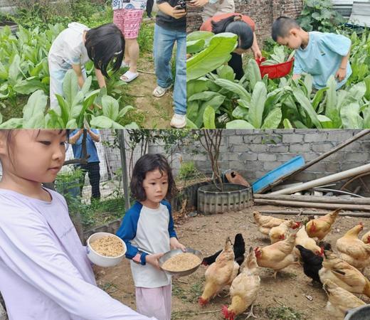 河源亲子2天营 商品图6