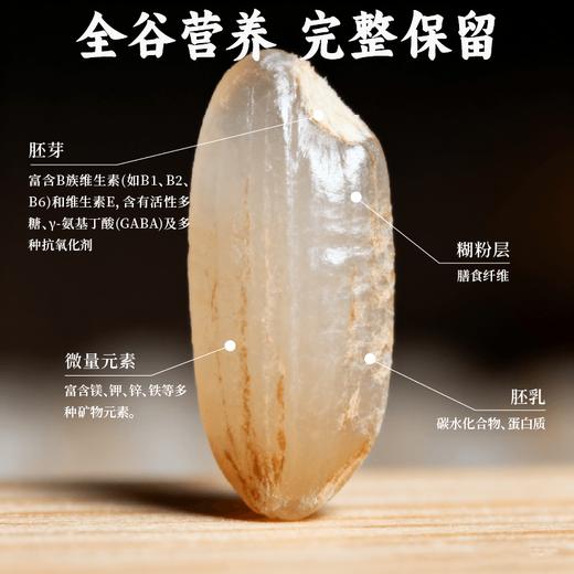 【买2箱送2盒，买6箱发7箱】【谦益】香畴生态糙米奶200ml 直接喝的糙米营养奶 0乳糖 入口丝滑 自然清甜 商品图4