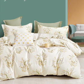 芳恩 星享全棉四件套TH-Z1037