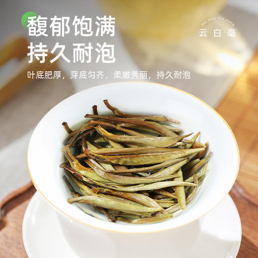 特级白豪银针明前春茶古树茶高山白茶30g自饮品鉴装CM 商品图3