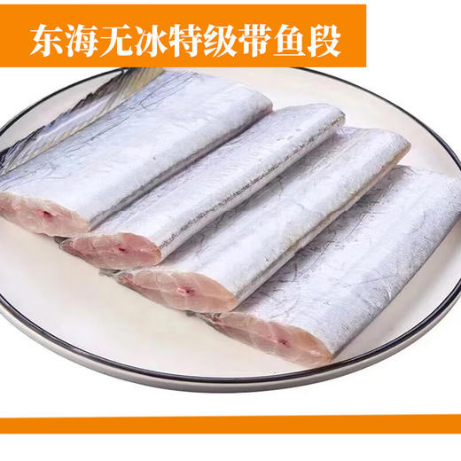 25年海鲜港598型鹏程万里【LXZQSW3.0】 商品图4