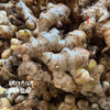 生态小黄姜/生姜【中年姜】1斤/3斤/5斤（基地直发-京东包邮）| 多种规格，来自云南五华区＆屏边县，生产者：李建平【合作生产，公平贸易】 商品缩略图2