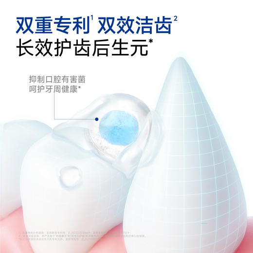 🎁[年货节]小白牙犬用洁齿冻干PRO,零食磨牙棒,韧性双效洁齿 商品图4