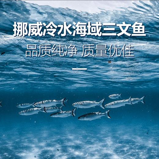 Biopluss挪威进口三文鱼油omega3成人润靓美肤深海鱼油软胶囊epa 商品图4
