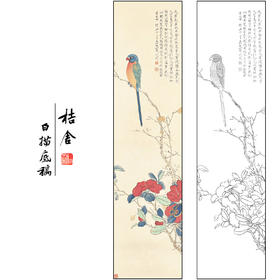 于非闇花鸟工笔画白描底稿《五色鹦鹉》临摹勾线高清打印稿FA25