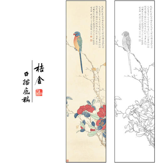 于非闇花鸟工笔画白描底稿《五色鹦鹉》临摹勾线高清打印稿FA25 商品图0