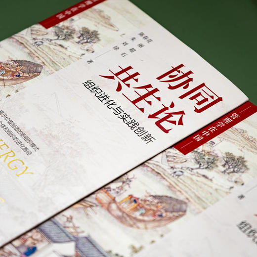 官网 协同共生论 组织进化与实践创新 陈春花 朱丽 刘超 徐石 中国管理学企业经营战略管理书籍 商品图2