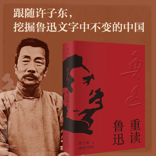 重读鲁迅 许子东 著 北京大学出版社 商品图1