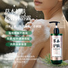 *自营*[买就送洗发水试用装1瓶]绿贞松针沐浴露 | #壮家古方松针洗浴原液非遗传承工艺#不刺激/清洁/保湿/舒缓。天然植物草本精华提取。滋润肌肤无刺激清爽保湿480mL。产自巴马水源地凤仙。 商品缩略图0