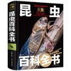 儿童昆虫百科全书 商品缩略图0