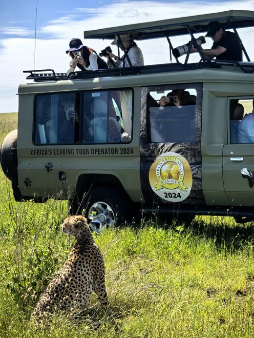 生命跃迁·坦桑尼亚safari游猎（产崽迁徙季，12—3月行程） 商品图1