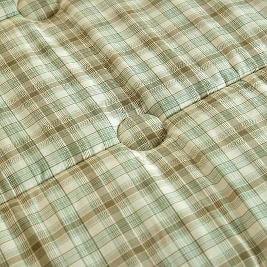 金百荷A类3D豆豆绒盖被印花豆豆被盖毯秋冬被 商品图11