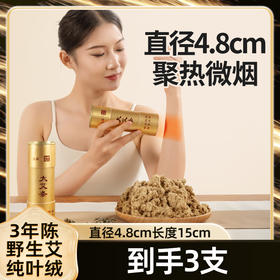 老李说艾4.8cm*15cm大艾条带隔灰网灭火盖