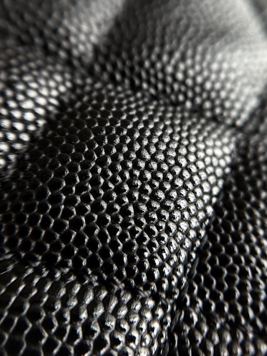 香家经典鱼子酱护照包 商品图4