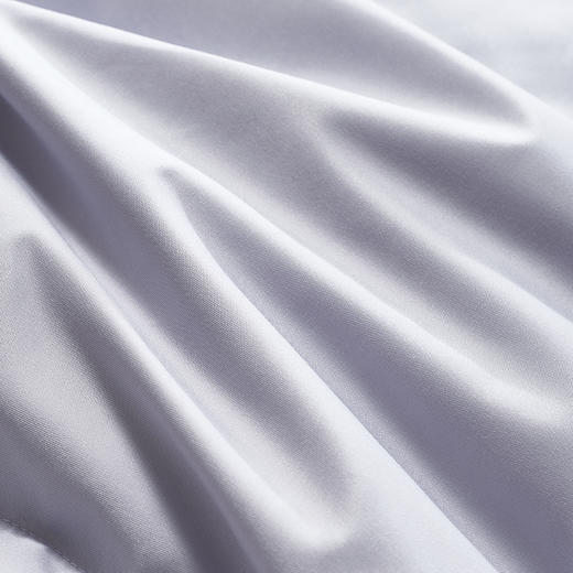 【爆】【6F】富安娜A类抗菌鹅绒被/富有安康，牌牌价9800~10800，双11活动价1999 商品图4