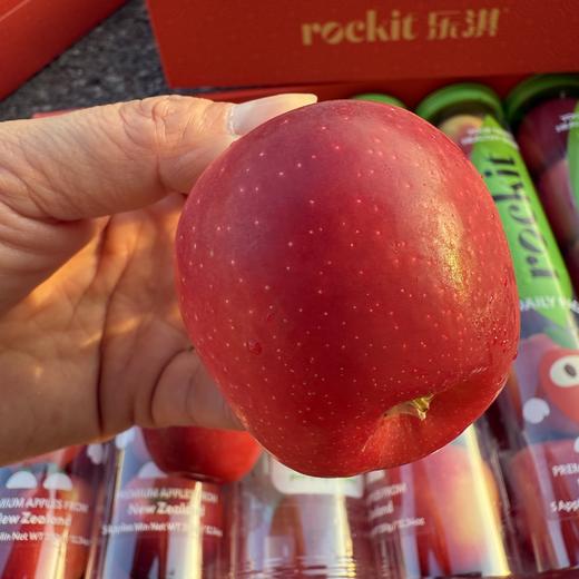 新西兰乐淇火箭小苹果 商品图3