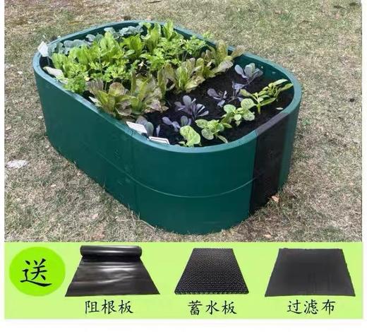 碧奥兰 一米菜园工具系列 商品图3