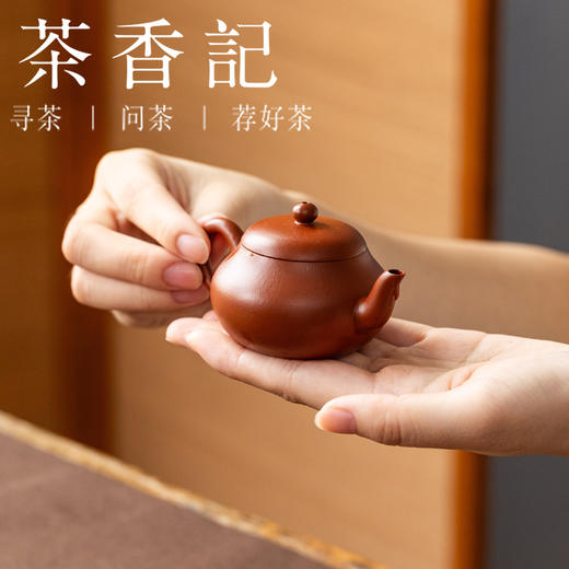 茶香记紫砂壶朱泥小君德70ml宜兴泡茶壶单壶经典器型小巧实用茶具 商品图3