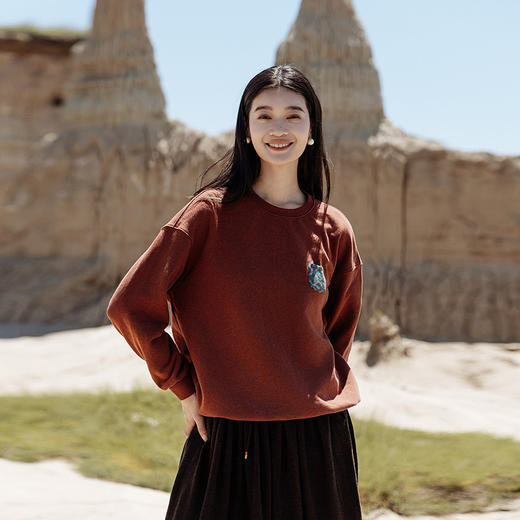 绽放563朵/长绒棉毛圈布花布贴口袋设计感百搭长袖套头卫衣女上衣 商品图0