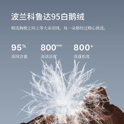 绽放545朵/多色双面穿半高领百搭95白鹅绒短款羽绒服女秋冬新款 商品图3