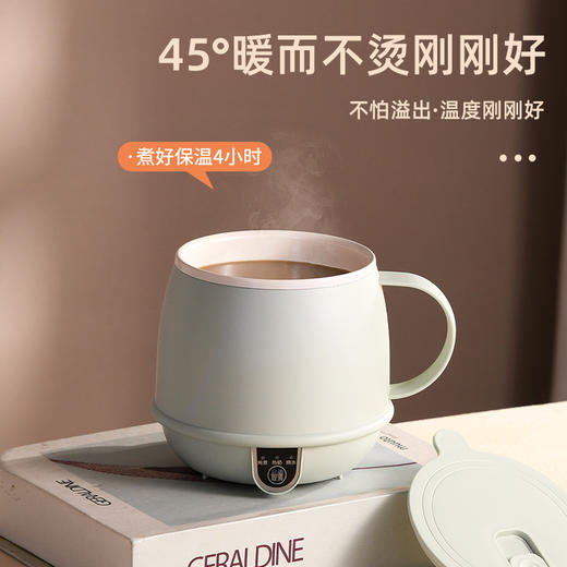 热奶杯热牛奶神器办公室一人电煮杯加热烧水杯早餐杯多功能养生杯 商品图3