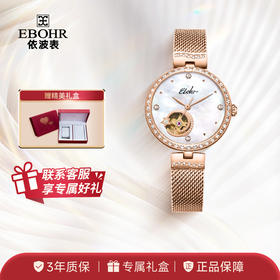 依波（EBOHR）自动机械镂空女表星空简约时尚5639