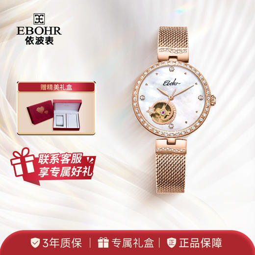 依波（EBOHR）自动机械镂空女表星空简约时尚5639 商品图0