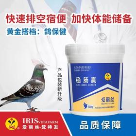 爱丽丝【稳肠赢】100克，赛鸽肠道保护排肠毒