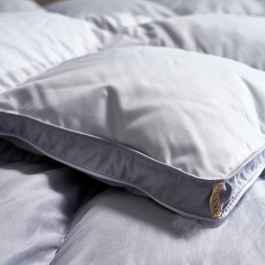 【爆】【6F】富安娜A类抗菌鹅绒被/富有安康，牌牌价9800~10800，双11活动价1999 商品图3