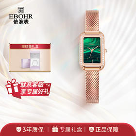 依波表手表女表高级感复古气质小方表防水钢带石英女士腕表5668