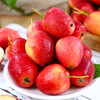 新疆香妃海棠果 多规格可选 顺丰速运 酸酸甜甜的玲珑果实 商品缩略图4