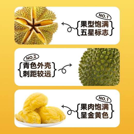 『叻油榴』正宗马来西亚进口猫山王榴莲D197液氮冷冻整果AA级包装精美送礼推荐顺丰包邮 商品图2