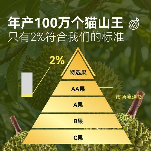 『叻油榴』正宗马来西亚进口猫山王榴莲D197液氮冷冻整果AA级包装精美送礼推荐顺丰包邮 商品图3