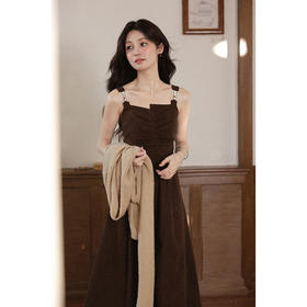 鹿向南「杜塞画廊」棕色无袖吊带连衣裙女秋新款显瘦气质A字长裙